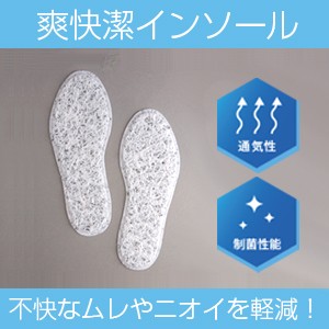 insole_300x300